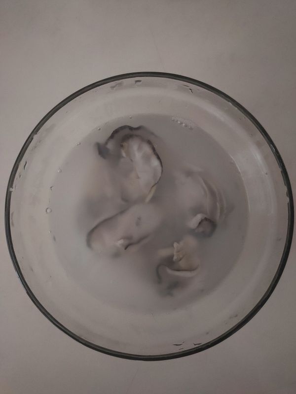 蝦：
1.去蝦殼清洗去腸泥（尾巴的殼可以留著，方便手拿食用）
2.將蝦用紙巾擦乾，加入少許鹽，胡椒粉醃10分鐘
牡蠣：
1.牡蠣洗淨，過熱水撈起備用（此步驟較可以避免牡蠣煮後縮水）
2.將牡蠣用紙巾擦乾，加入少許鹽，胡椒粉醃10分鐘