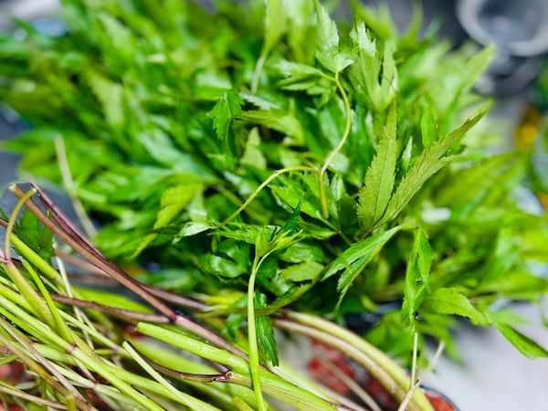 摘比較嫩的葉子🍃
大約20片 先洗乾淨切細備用