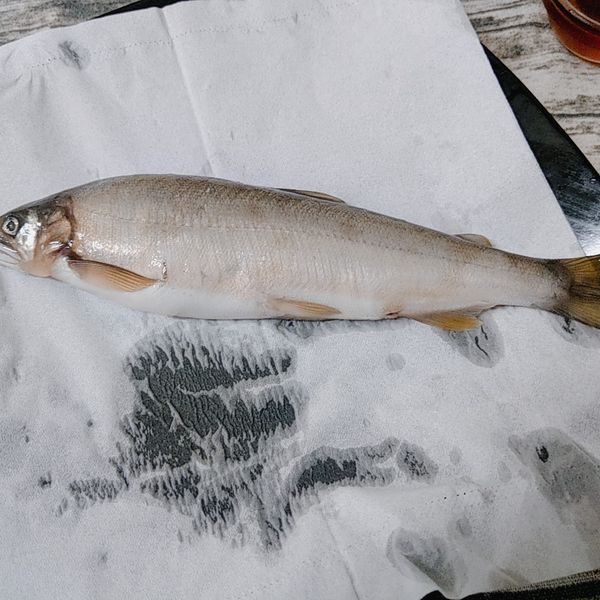 將香魚外表的麟片刮除乾的，用水沖洗乾淨後再用餐巾紙擦乾水份。