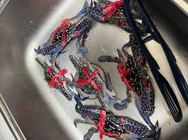 螃蟹用牙刷整隻刷乾淨，如果真的很怕…就算了 哈哈哈
用清水多洗幾次