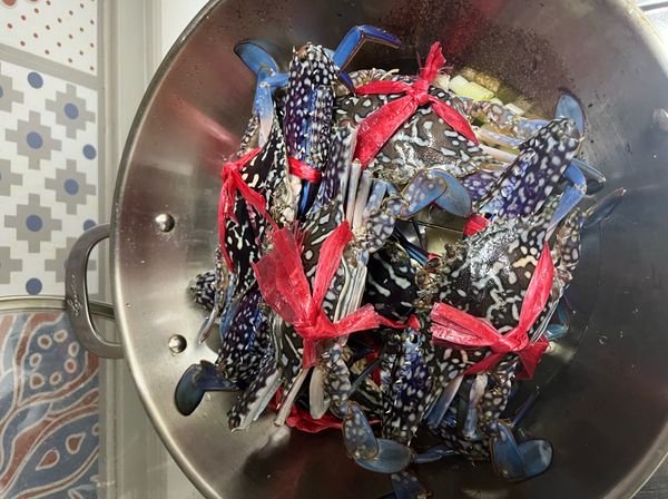 將螃蟹疊放在鍋裡，因為還蠻怕的所以繩子沒有解開直接蒸
蓋上鍋蓋開中大火，煮滾後計時7-8分鐘即可關火，鍋蓋蓋著悶10分鐘即可