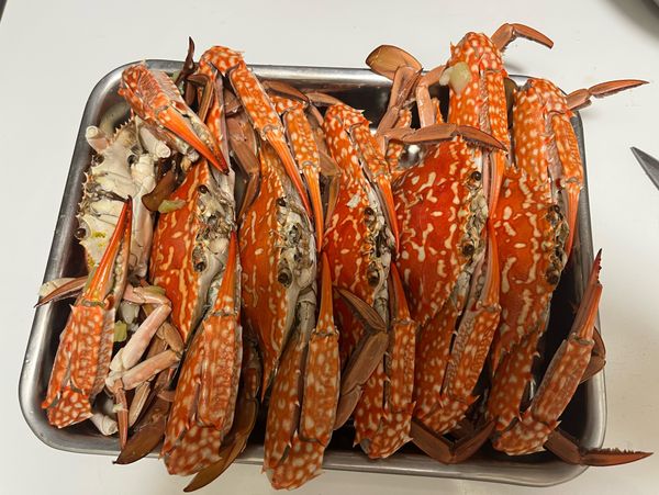 開蓋後將繩子解開，放到盤子裡即可

需要沾醬的話可以用少許煮螃蟹的湯加醬油、糖、辣椒煮滾使用