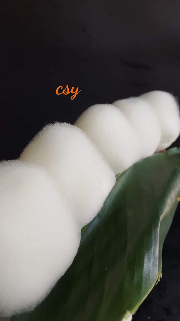 這是發好的毛豆腐在前幾篇有分享過