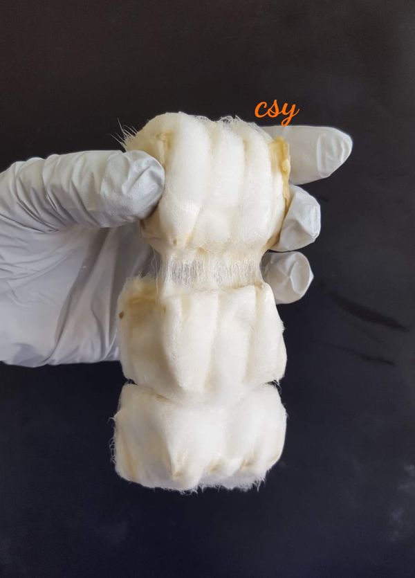 毛豆腐發好的時候有一些毛會黏在一起不要用手撕開要用刀子切開皮才不會掉下來