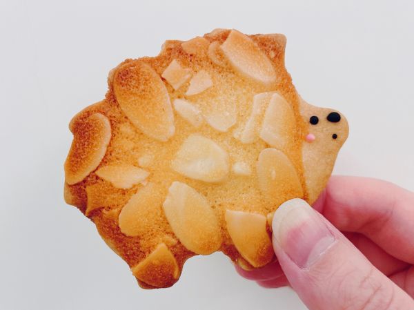 上下火160度，烤15-20分鐘，烤至表面均勻上色即可，出爐移至網架上放涼。
最後用隔水融化的巧克力畫上眼睛、鼻子、嘴巴及腮紅。