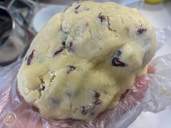 成團後的模樣。