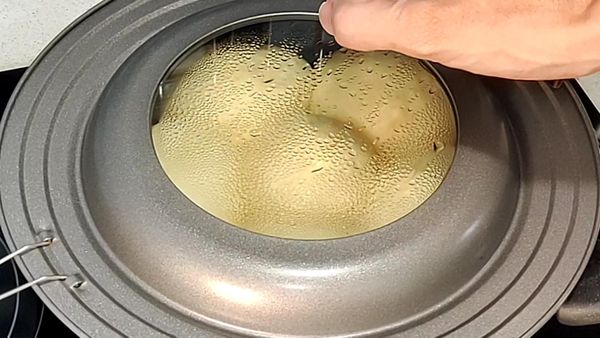 蓋上蓋子，用小火先煎個10分鐘