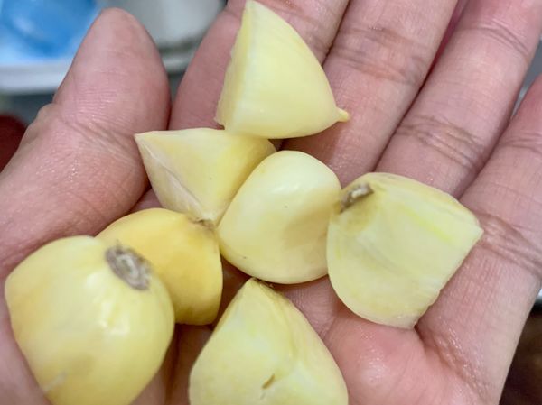 蒜頭切成指節大小