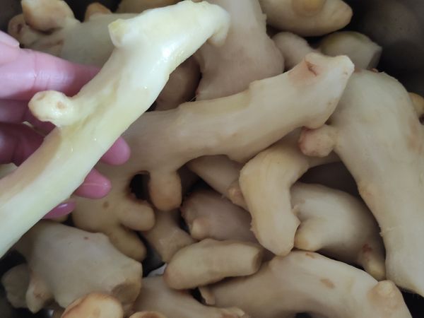 將薑洗刮去外皮，洗淨，瀝去水份備用。