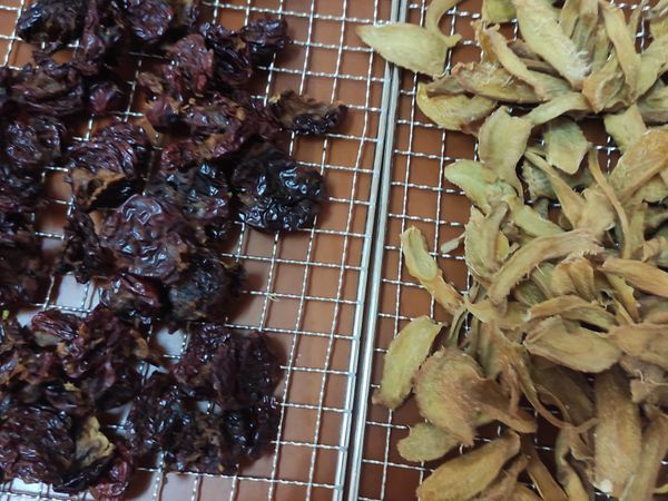 把蒸好的紅棗及薑片放在烤盤上，送進果乾機以50度C溫度烘3個小時,取出放涼。