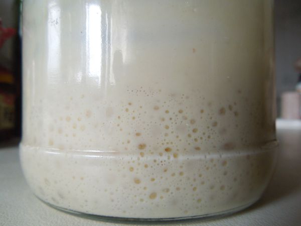 材料：蘋果種自養酵母麵種
如果沒有自養酵母仍然可以製作奶油捲，替代食譜請看小撇步。