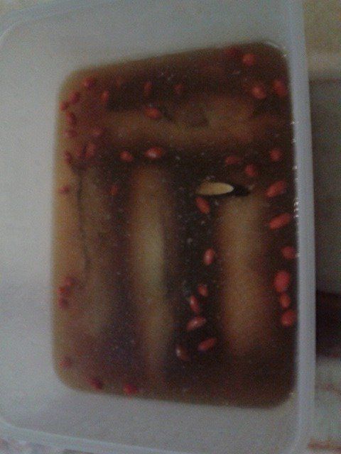 取出雞腿泡湯放入冷藏,待食切片即可