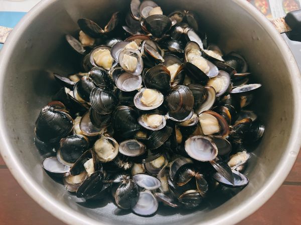 將蜆仔燙過後，