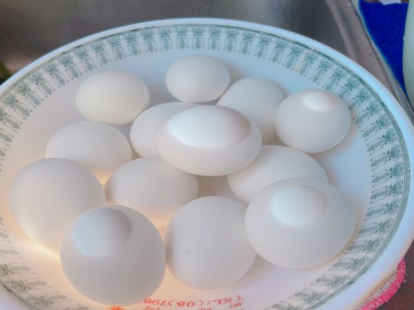 撈起來放冰水浸泡，我這冰塊融化了🫠