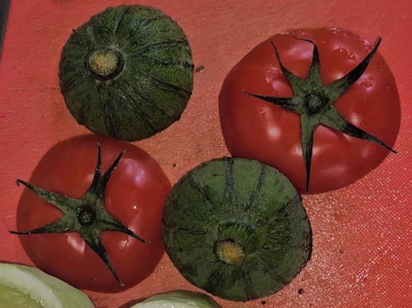 將番茄和絲瓜的頭取下備用。