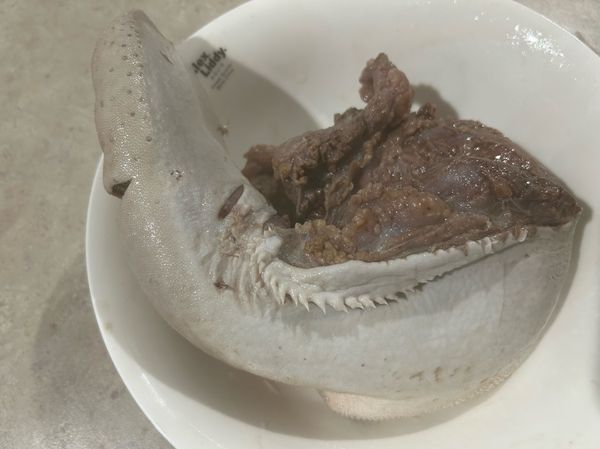 燙好後將牛舌撈起去皮，切除舌根部肉質較老部位