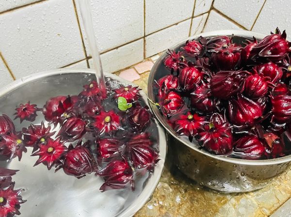 新鮮洛神🌹先用清水洗乾淨
