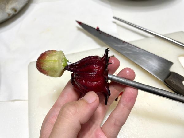 在剛剛切除的中心偏移一點位置，用🥢筷子將籽去除