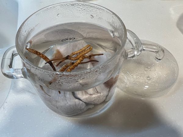 瘦肉飛水洗乾淨，再加入冬蟲草燉煮。