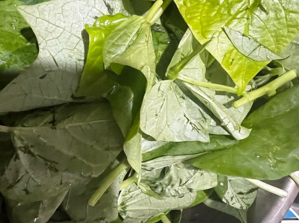 先挑地瓜葉
根、葉分開洗
根洗好放一盤
葉子洗好放一盤
將蒜頭切碎