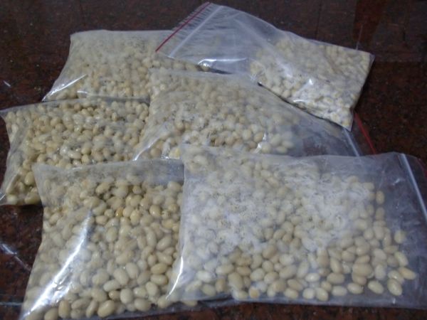 把泡好的豆子濾乾，裝在電鍋內鍋，外鍋倒入一杯水把黃豆蒸熟。