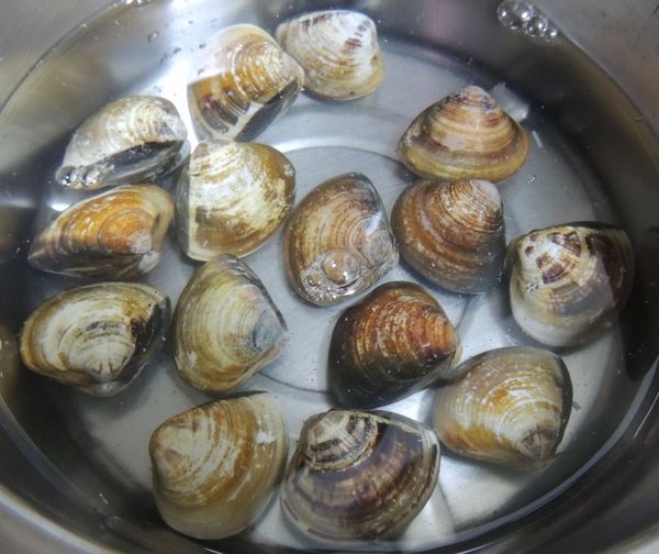 在大賣場或菜市場應該都可以買到蛤蜊,所以買回來之後要進行吐沙的步驟,將蛤蜊放入清水中再加點鹽,靜置幾小時以後就可以了.