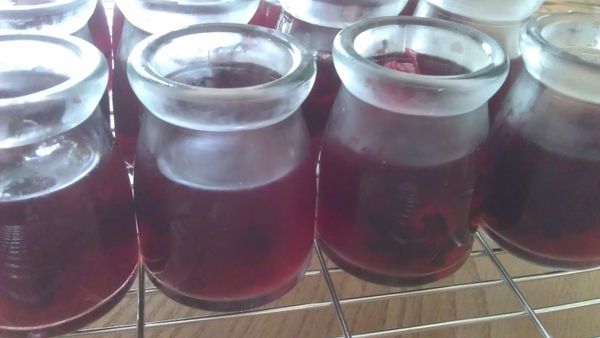 裝入小容器後待涼放入冰箱.