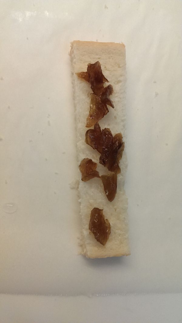 把吐司上排上Q梅