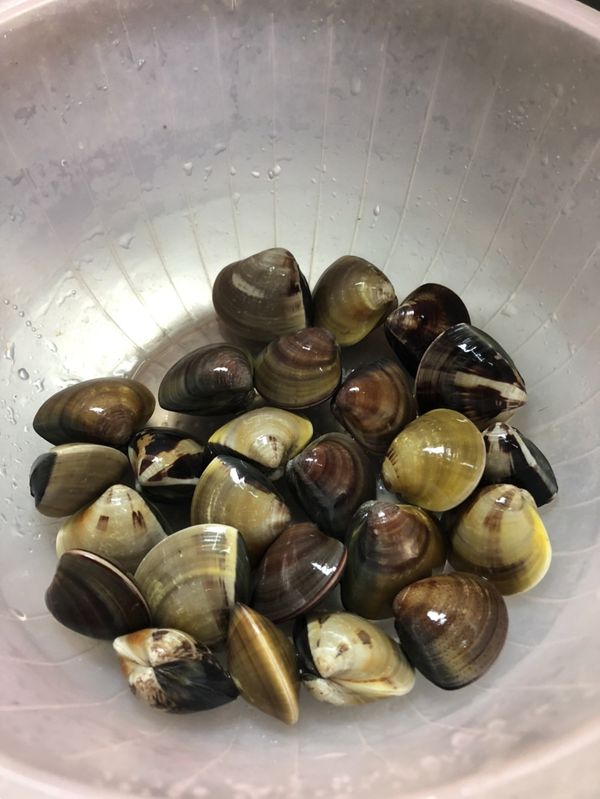 1.蛤蠣泡水吐沙，然後再沖洗一下外殼備用。