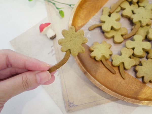 耶！！採到四葉幸運草啦！！