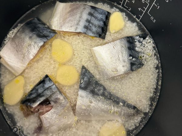 米洗淨後加入1.5杯水，鯖魚、老薑片平鋪在米上，加入橄欖油按下飯鍋一般煮飯程序。
老薑片夾起丟棄、鯖魚片夾到盤子裡。
可將一些魚肉去骨後拌入飯中。