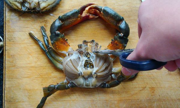 掀開蟹殼，剪掉蟹鰓、口器，摘除蟹胃，撕去臍蓋；