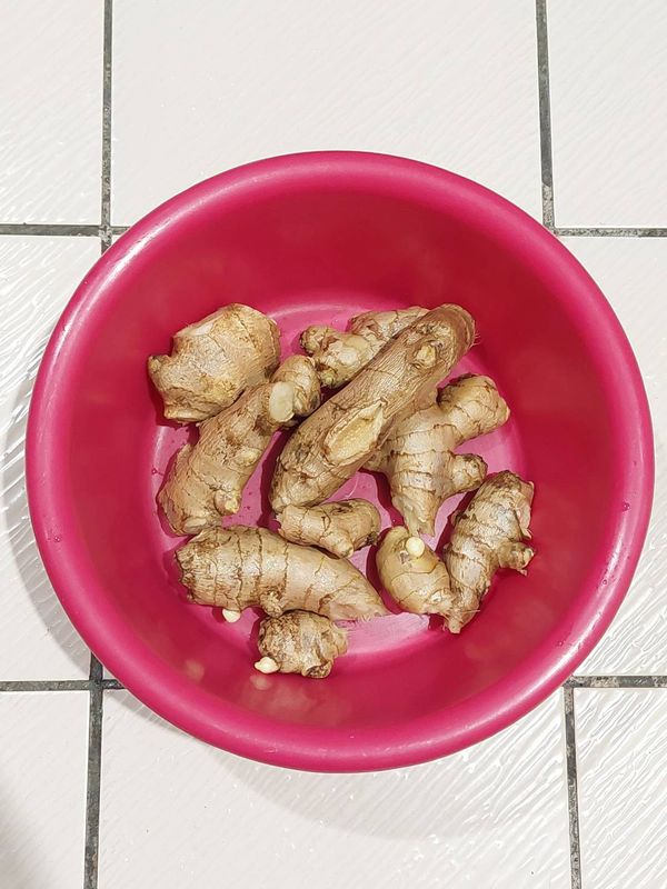 老薑用菜瓜布刷洗乾淨，用布擦乾水分，再切去蟲咬的部分