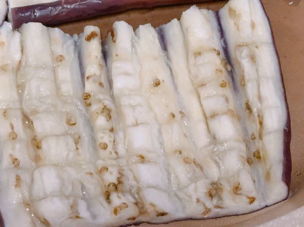 茄子放涼之後，從中切開鋪平在橫切不切斷
