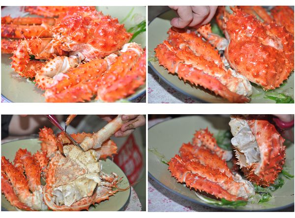 帝王蟹的殼清蒸後，其實很軟，可以用簡單輕輕簡開即可吃到肥美的蟹肉，但多刺，正確吃法最好用後一些的手套去剝開蟹殼，不然容易刺到喔!