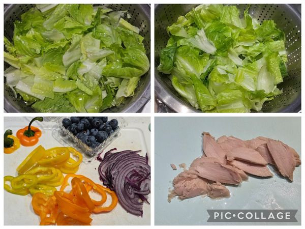 蘿蔓生菜，洗淨，泡冰水，瀝乾。甜椒切細圈。洋蔥切細絲。雞胸肉撕開成條，或切片。
藍莓洗淨瀝乾。