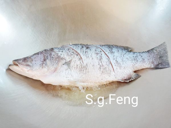 5.起鍋，開中小火，倒入食用油；油熱後(油上鍋邊有油紋出現)放入鱸魚，先不動魚，煎約6-7分鐘。