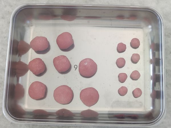 將紅色麵糰稱取2.5 g X 8個，和10 g X 8個