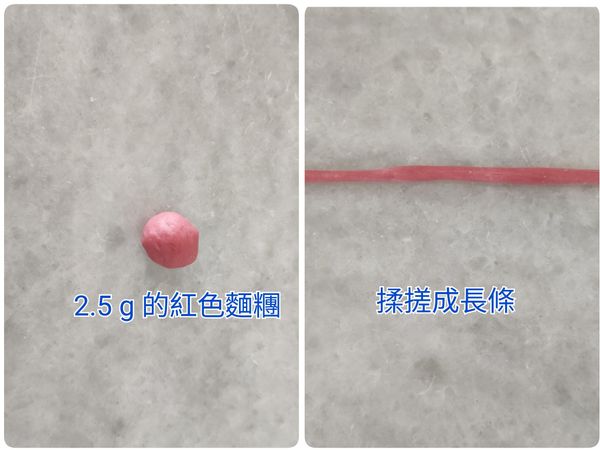 將8個2.5 g 的紅色麵糰揉搓成長條