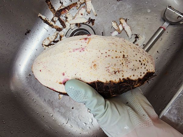 芋頭削皮，一定要戴手套，手才不會癢哦~