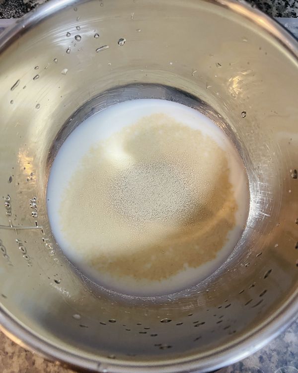 牛奶和水中加入酵母、糖和鹽拌勻；