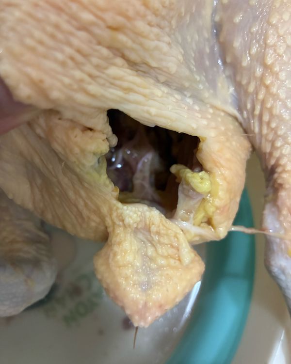 將雞背骨兩側溝內內臟挖出