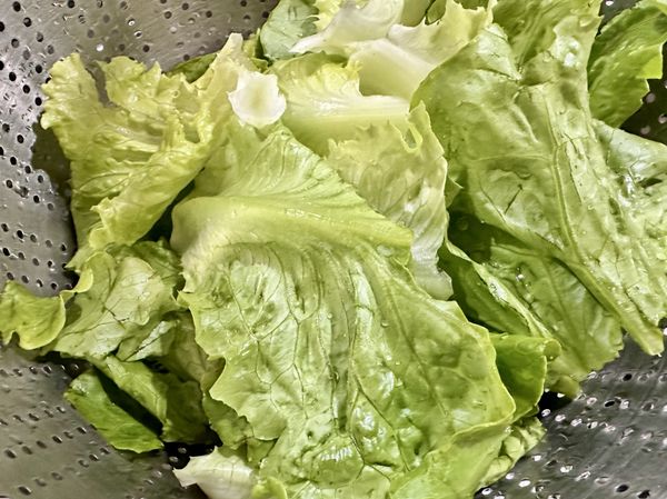 ●備料時萵苣先泡水換水3次洗，洗淨後用手剝4-5公分大小塊，再用可以用的淨水浸泡過再瀝乾，這樣可以避免吃到生水。
