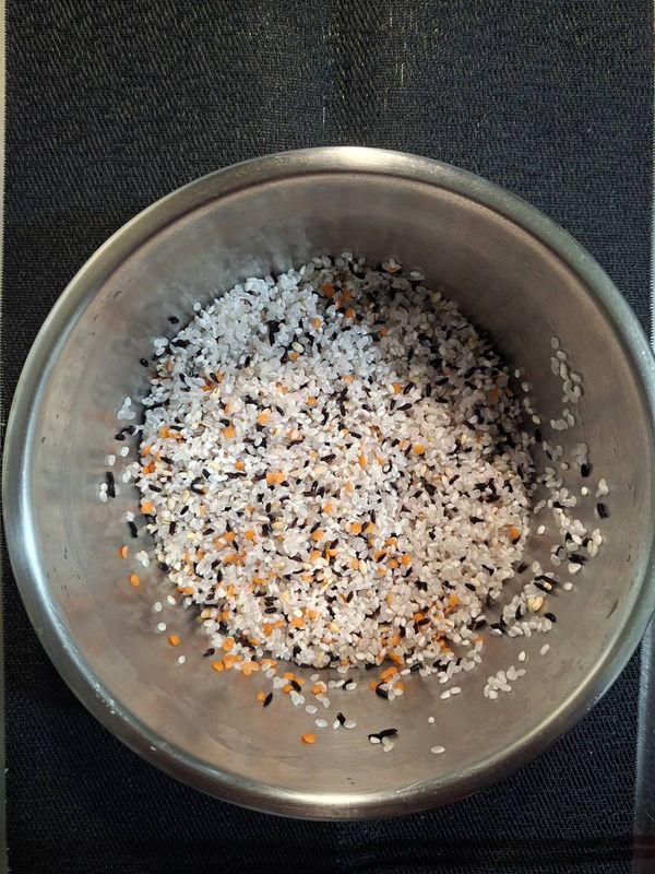 我今天用的是白米、黑糙米、小扁豆這三種，沒有使用糯米