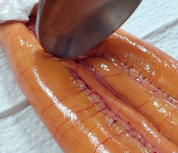 第1天：
可使用湯匙或細針把烏魚卵上的血給刮除或排出，可反覆放入清水中清理，這個步驟比較麻煩，但是如果處理不好會影響烏魚子的風味