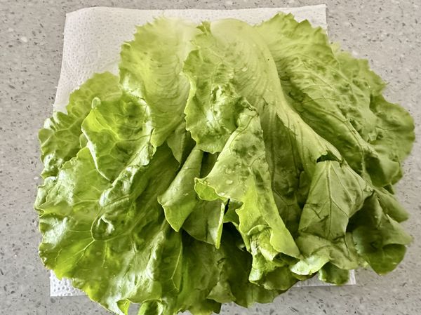 ●萵苣洗淨後用可飲用的水浸泡過再瀝乾，這樣可以避免吃到生水，把瀝乾的生菜葉放在廚房紙巾上晾乾，讓生菜是乾爽的。