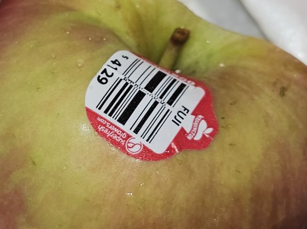 華盛頓富士蘋果，口感香甜入菜也很適合。