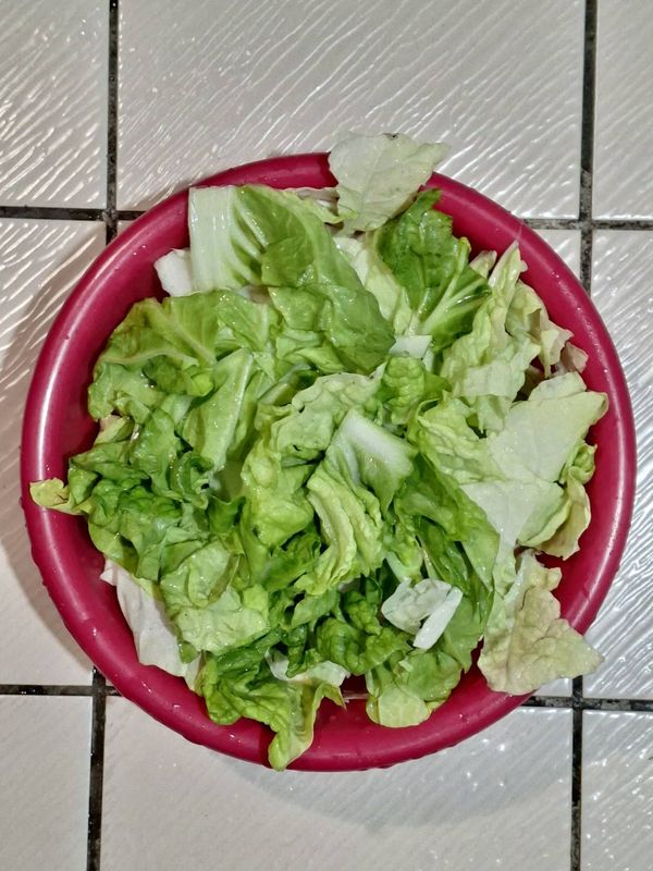 切點大白菜或白蘿蔔