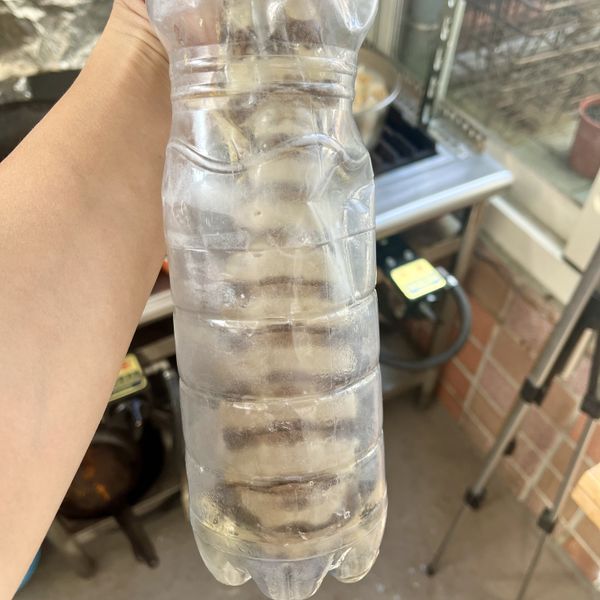 螳螂蝦冷凍後取出退冰。因為個性兇猛，所以漁民捕獲後會把牠們單獨裝在寶特瓶裡避免互相打架死掉。