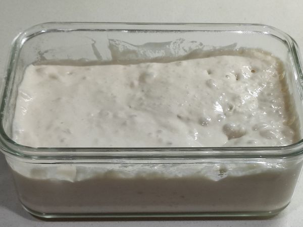 發酵後的麵糰有明顯的氣泡產生。然後移至冰箱冷藏發酵12-24小時